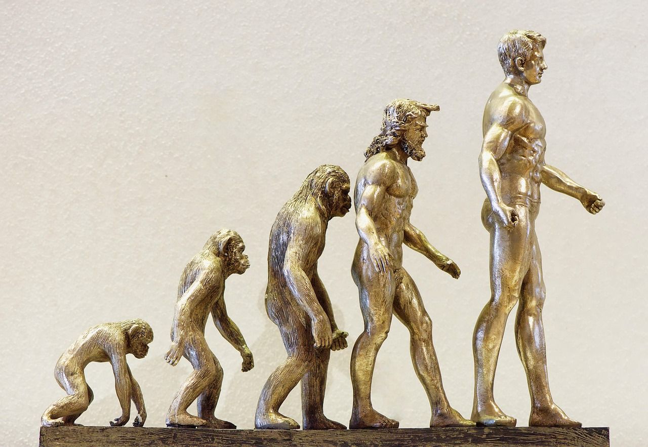 découvrez comment réussir une reconversion professionnelle vers l'entrepreneuriat grâce à des conseils pratiques, des stratégies efficaces et des témoignages inspirants.